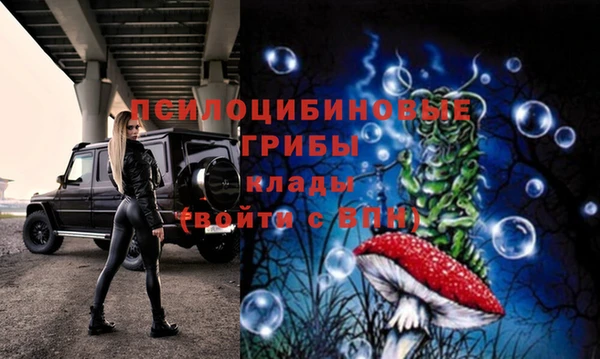 тгк Надым