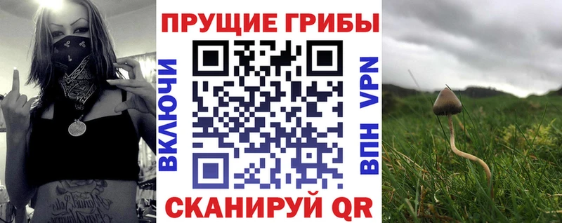 Псилоцибиновые грибы Magic Shrooms  Подпорожье 